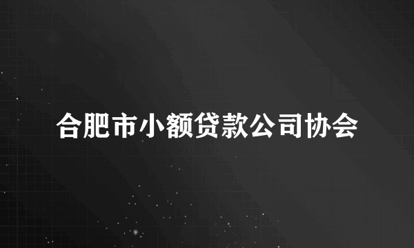 合肥市小额贷款公司协会