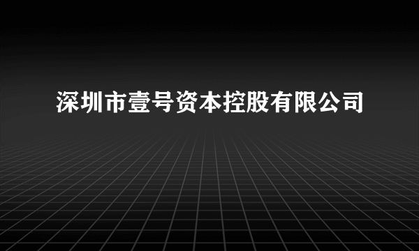 深圳市壹号资本控股有限公司