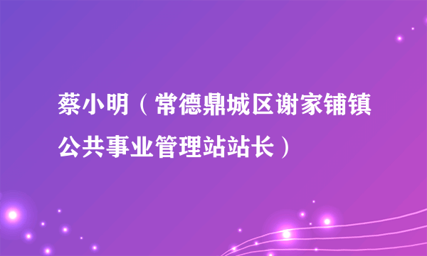 蔡小明（常德鼎城区谢家铺镇公共事业管理站站长）