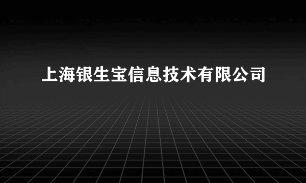 上海银生宝信息技术有限公司