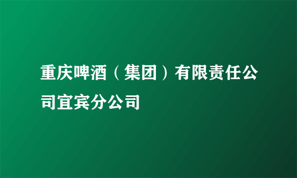 重庆啤酒（集团）有限责任公司宜宾分公司