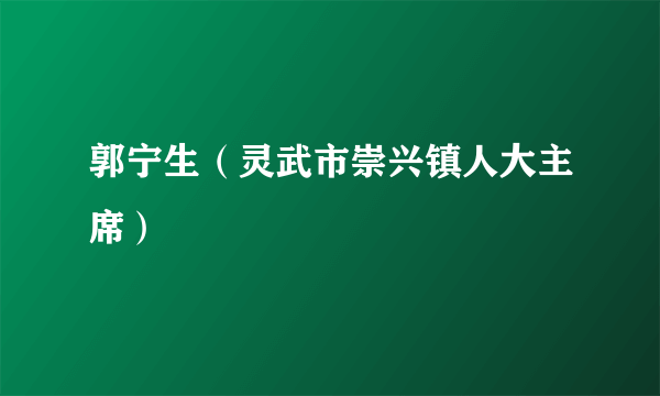 郭宁生（灵武市崇兴镇人大主席）