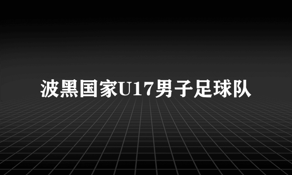 波黑国家U17男子足球队