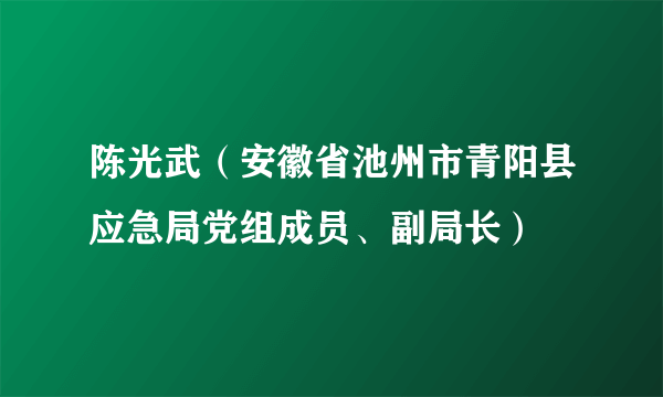 陈光武（安徽省池州市青阳县应急局党组成员、副局长）