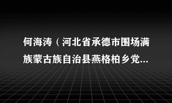 何海涛（河北省承德市围场满族蒙古族自治县燕格柏乡党委委员、纪委书记）