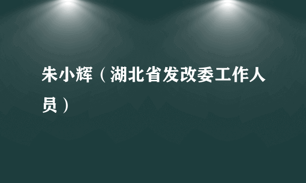 朱小辉（湖北省发改委工作人员）