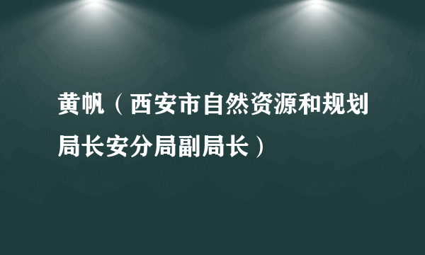 黄帆（西安市自然资源和规划局长安分局副局长）