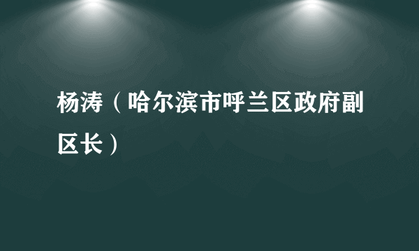 杨涛（哈尔滨市呼兰区政府副区长）