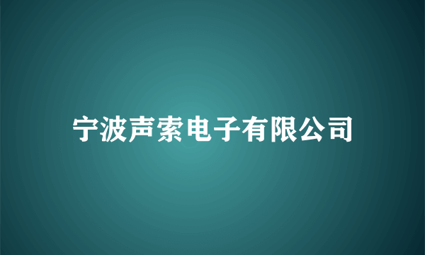 宁波声索电子有限公司