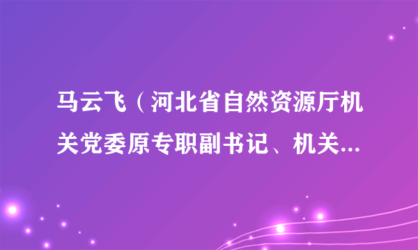 马云飞（河北省自然资源厅机关党委原专职副书记、机关纪委书记）