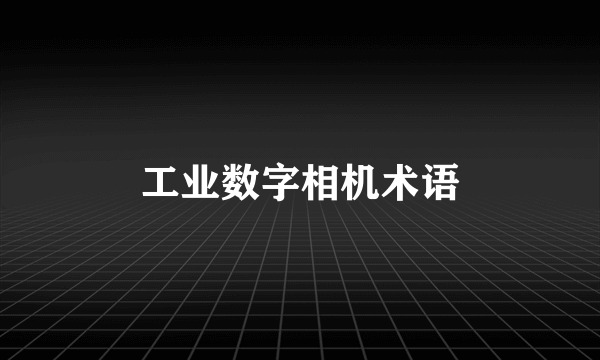 工业数字相机术语