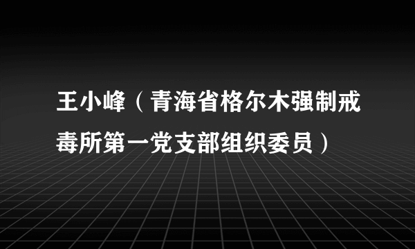 王小峰（青海省格尔木强制戒毒所第一党支部组织委员）