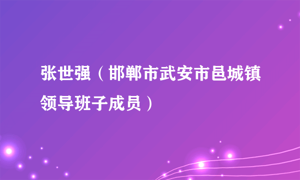 张世强（邯郸市武安市邑城镇领导班子成员）