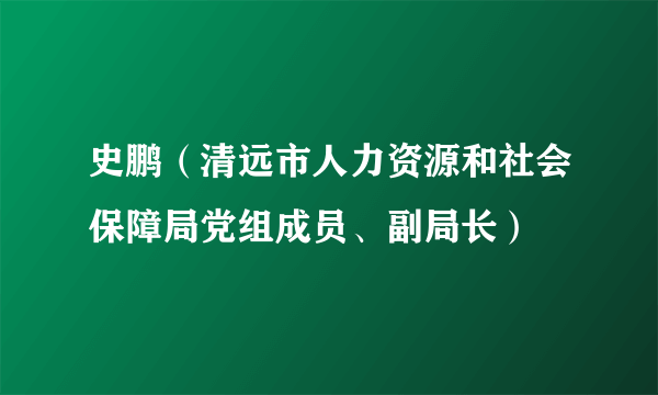 史鹏（清远市人力资源和社会保障局党组成员、副局长）