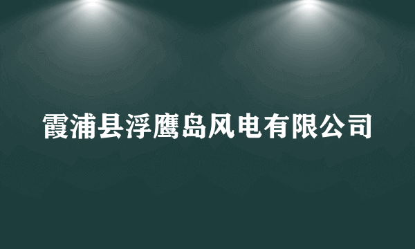 霞浦县浮鹰岛风电有限公司