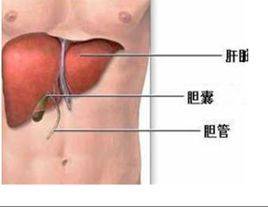 内脏带状疱疹