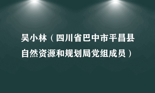 吴小林（四川省巴中市平昌县自然资源和规划局党组成员）