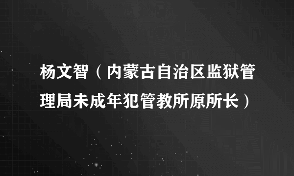 杨文智（内蒙古自治区监狱管理局未成年犯管教所原所长）