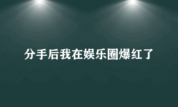 分手后我在娱乐圈爆红了