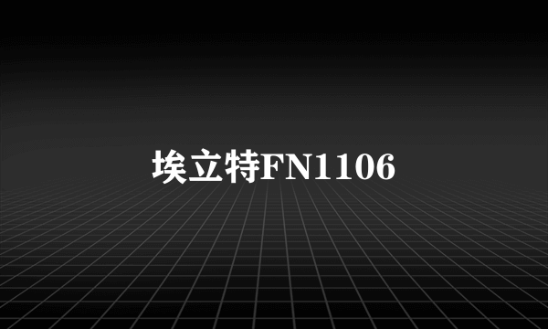 埃立特FN1106