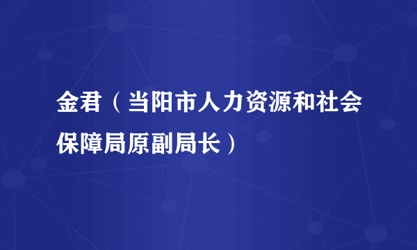 金君（当阳市人力资源和社会保障局原副局长）