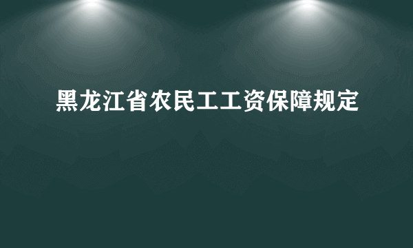 黑龙江省农民工工资保障规定