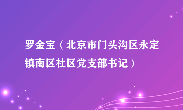 罗金宝（北京市门头沟区永定镇南区社区党支部书记）