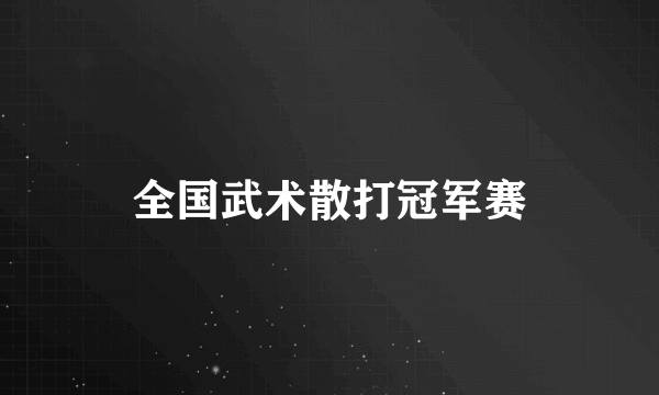 全国武术散打冠军赛