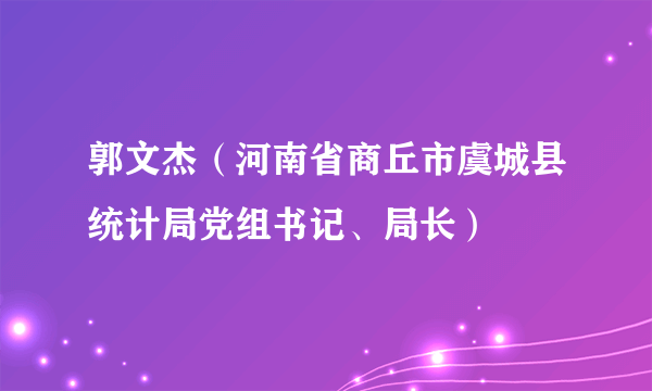 郭文杰（河南省商丘市虞城县统计局党组书记、局长）