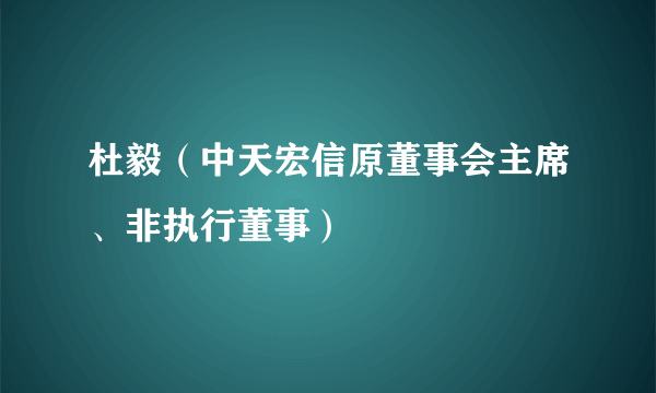 杜毅（中天宏信原董事会主席、非执行董事）